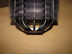 IMG_9314