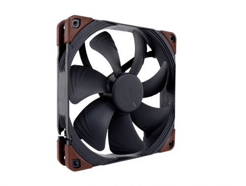 noctua