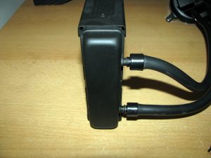 IMG_0946